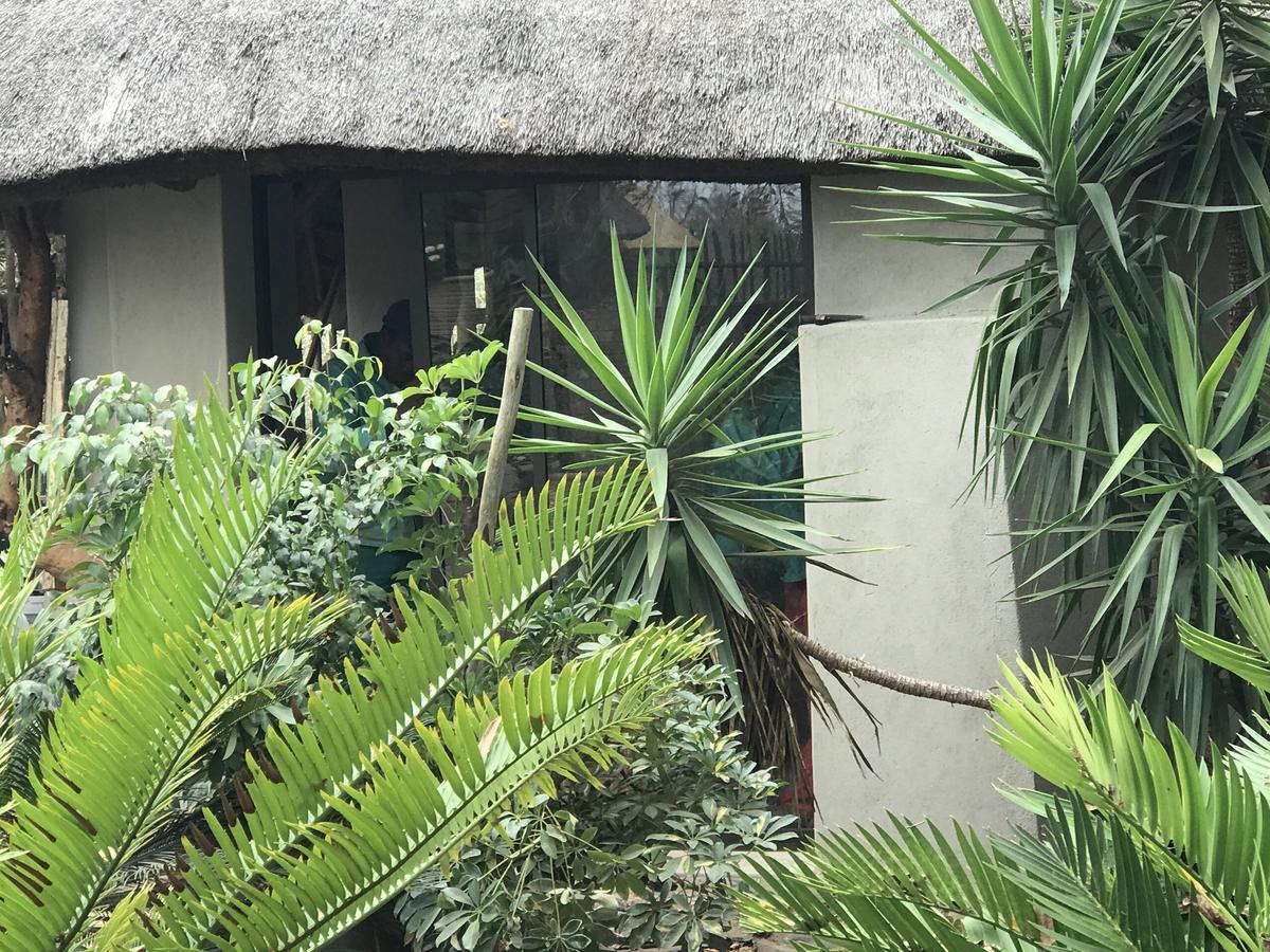 Weltevreden Country Guest Lodge Groblersbrug Kültér fotó
